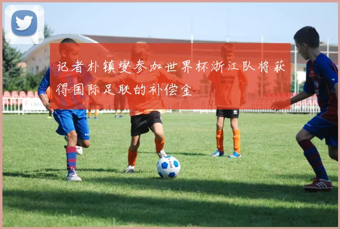 记者朴镇燮参加世界杯浙江队将获得国际足联的补偿金