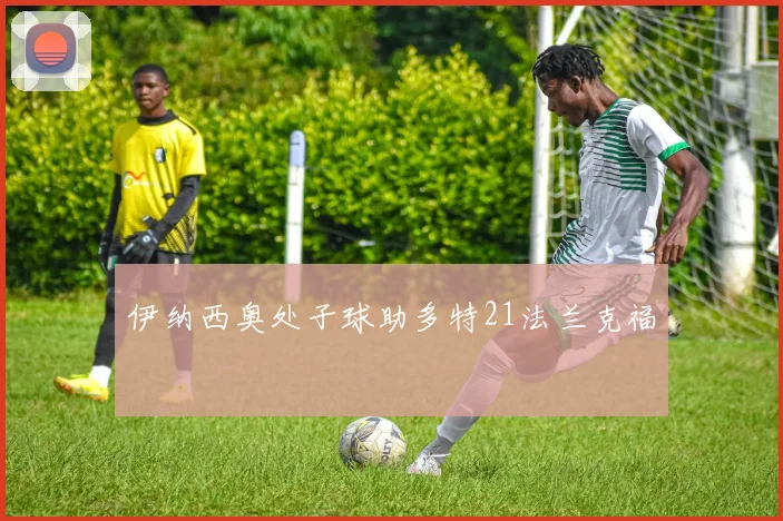 伊纳西奥处子球助多特21法兰克福