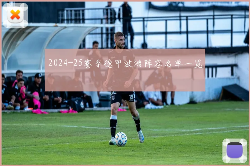 2024-25赛季德甲波鸿阵容名单一览